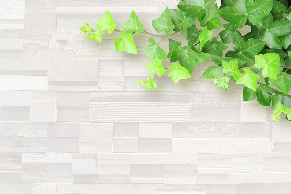 タイル・左官 (6)